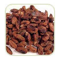 Manufacturers Exporters and Wholesale Suppliers of Neem Kernel Dhar Madhya Pradesh